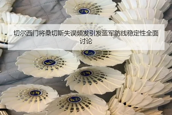 切尔西门将桑切斯失误频发引发蓝军防线稳定性全面讨论